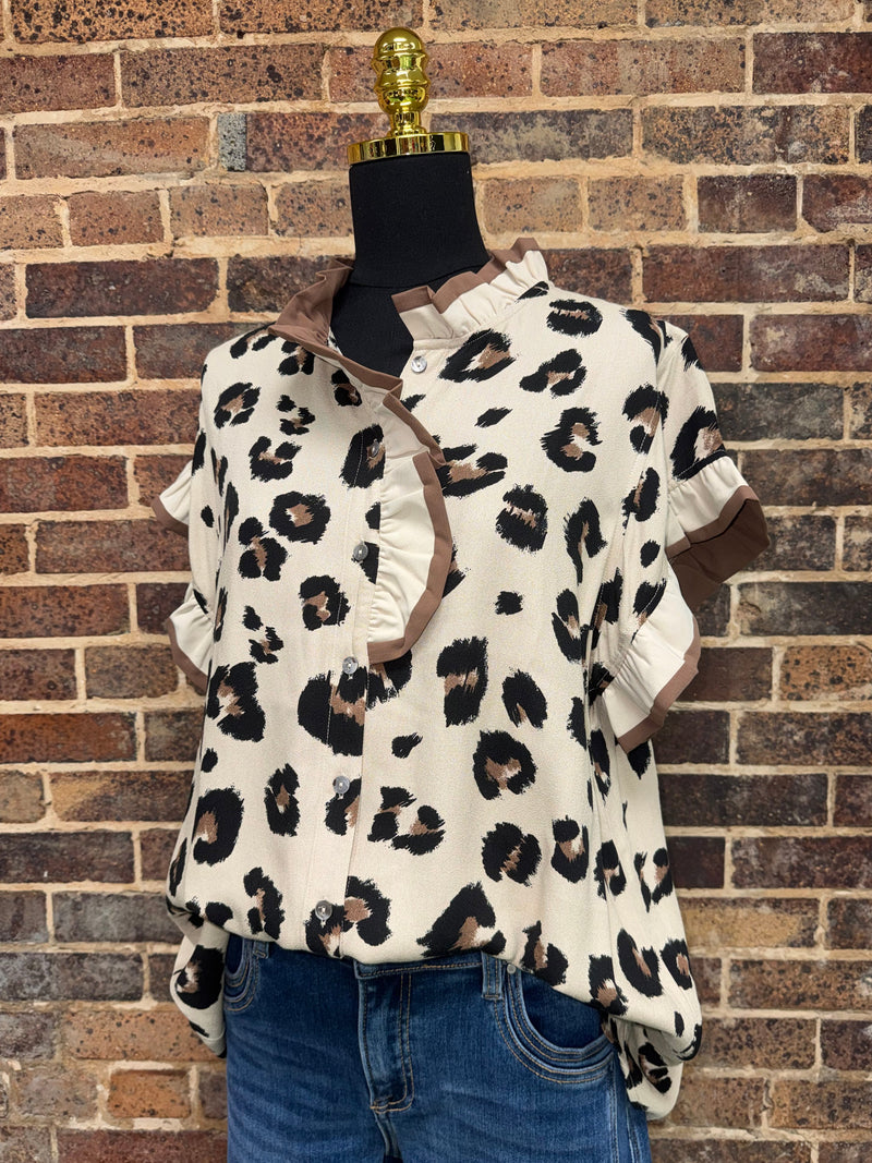 The Desert Cat Blouse